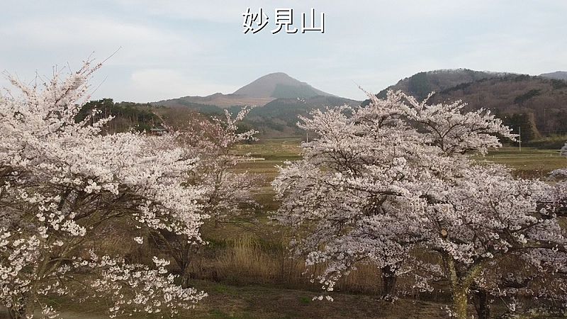 妙見山
