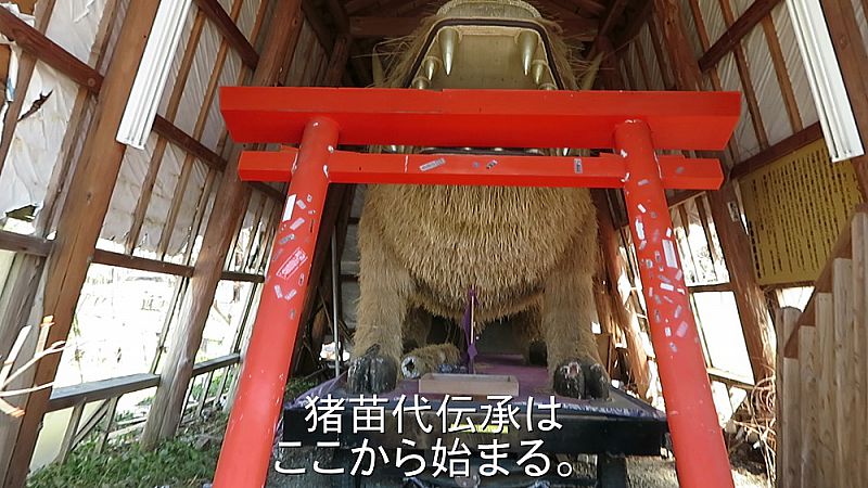 志田浜山クジラ