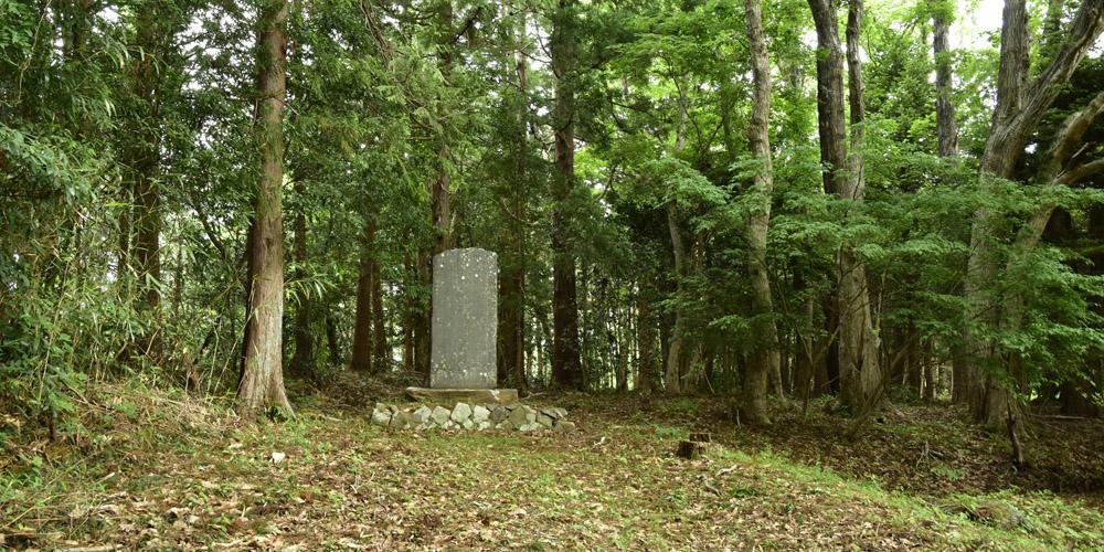 縄文期 福島県相馬郡新地町駒ケ嶺三貫地出土記載 水晶製鏃 異形