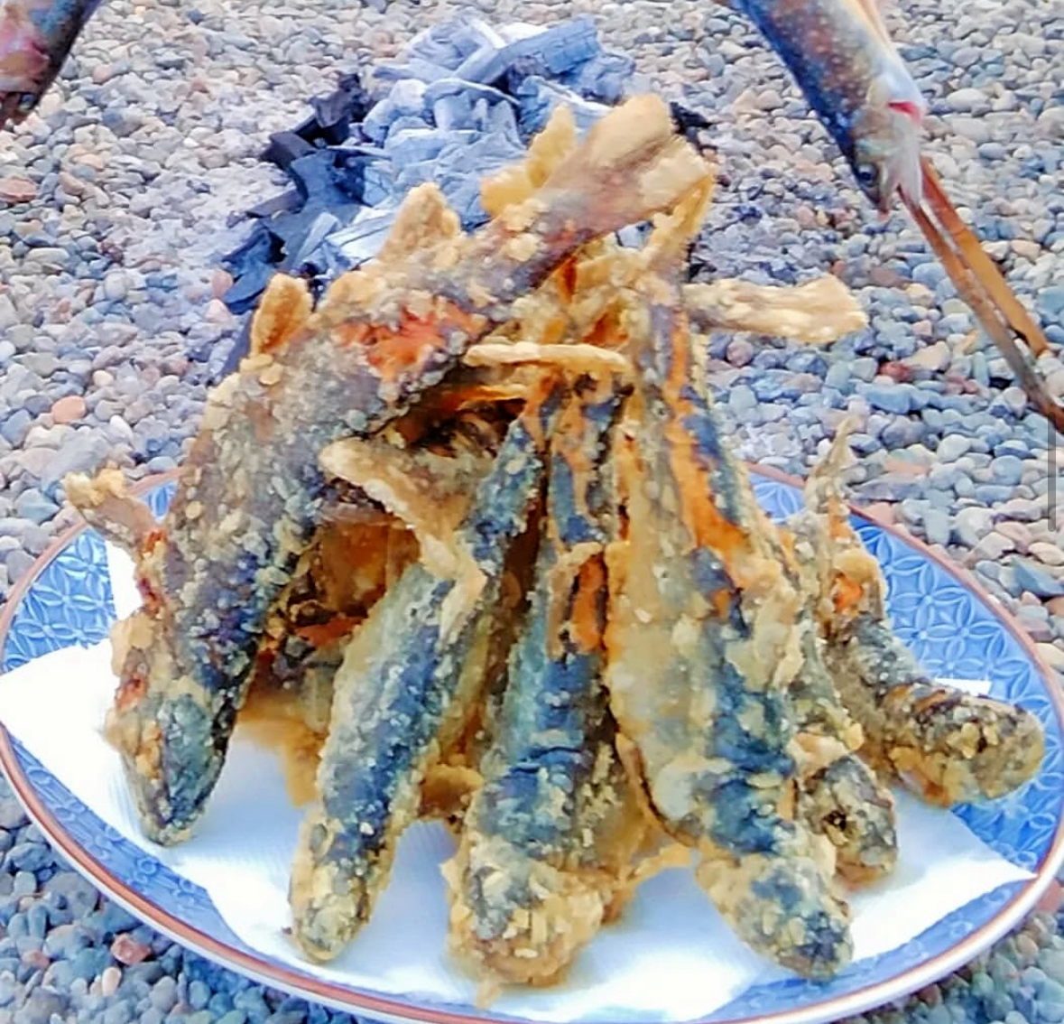 写真提供：いわなの里