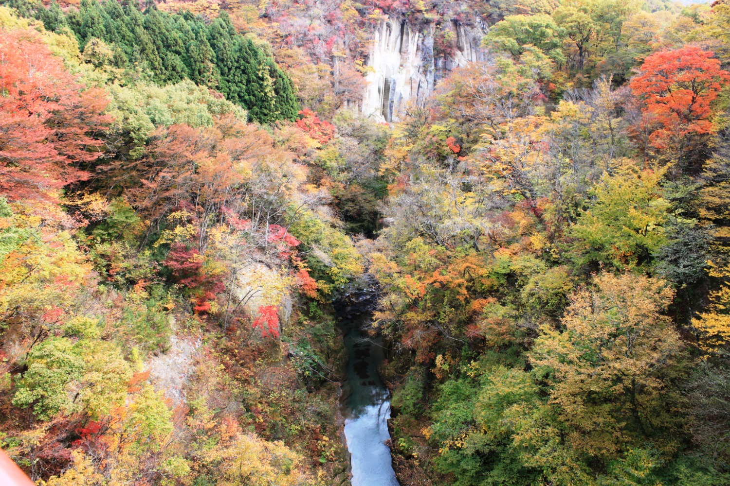 写真提供：西郷村