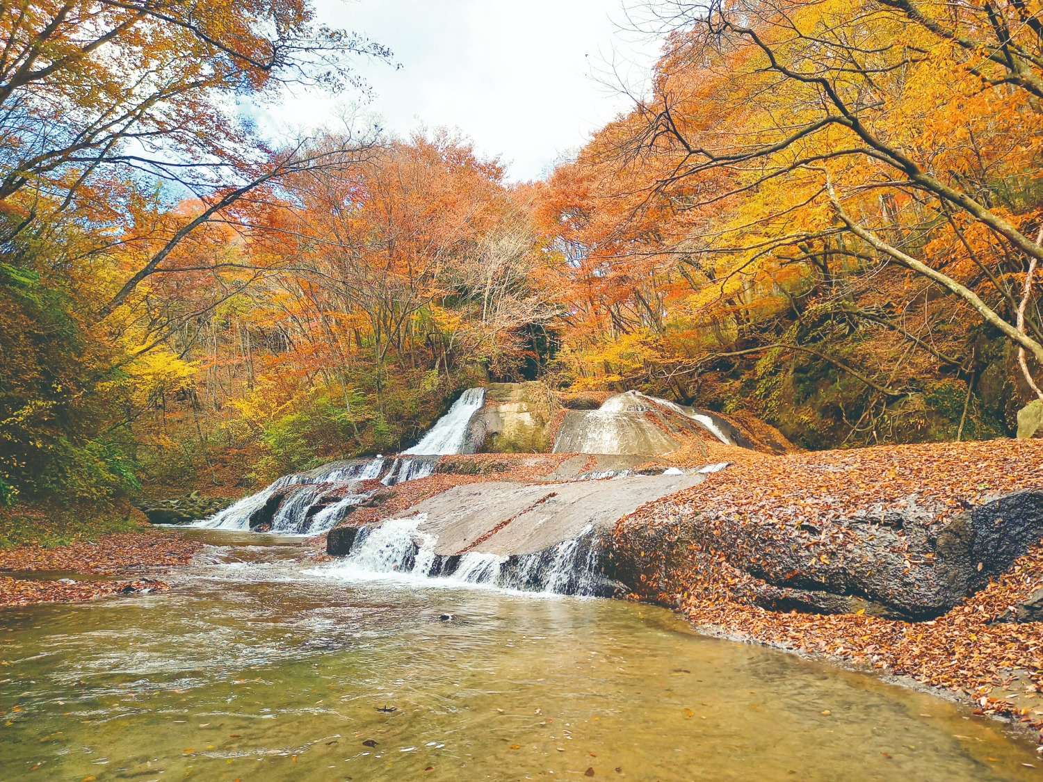 写真提供：西郷村