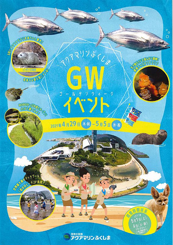 チラシ表面