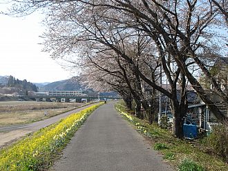 こちらも河川敷