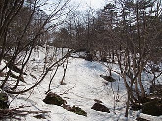 我が家の裏の方はまだこんな感じ