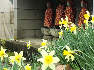 お地蔵さんも水仙を愛でてます。