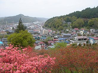 つつじと小さく写る水郡線