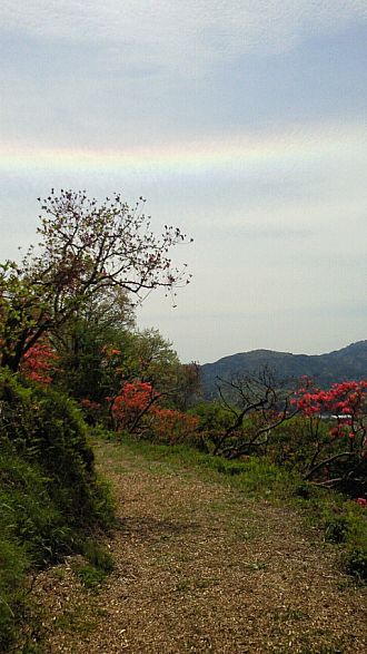 きれいに光っています。