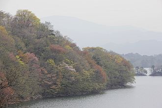 秋の写真ではありません