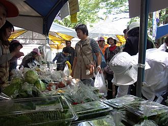 今回も新鮮野菜を持参します。