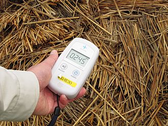 冬を越した稲わら