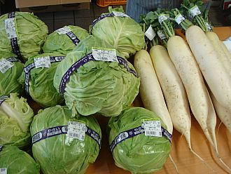大根・キャベツ、こちらも１００円