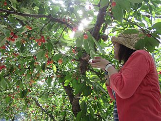 雨が降っても大丈夫なんです！！すごい！！