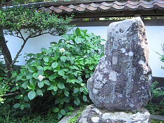 芭蕉の句碑とあじさい