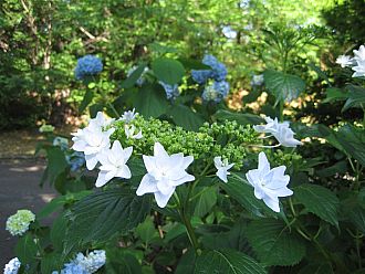 Ｋ君が撮った上手な写真☆