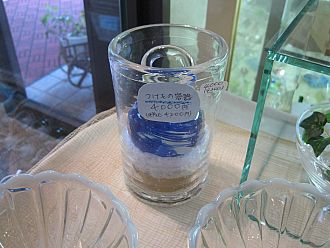 これで漬けるときっと美味しいと思います