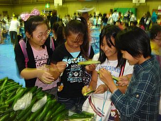 きゅうりを試食する地元の小学生かな。