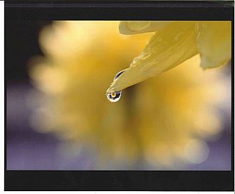 審査員特別賞　　鈴木　英明様の作品