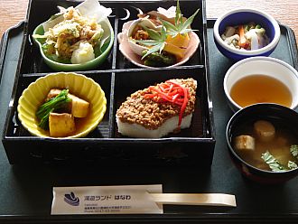 こちらが「ダリちゃん松花堂」です。