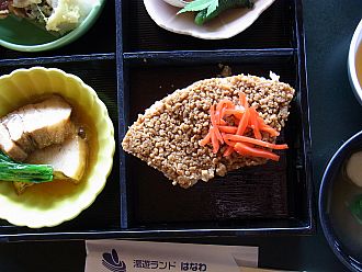 右、そぼろごはんに球根が入っています！