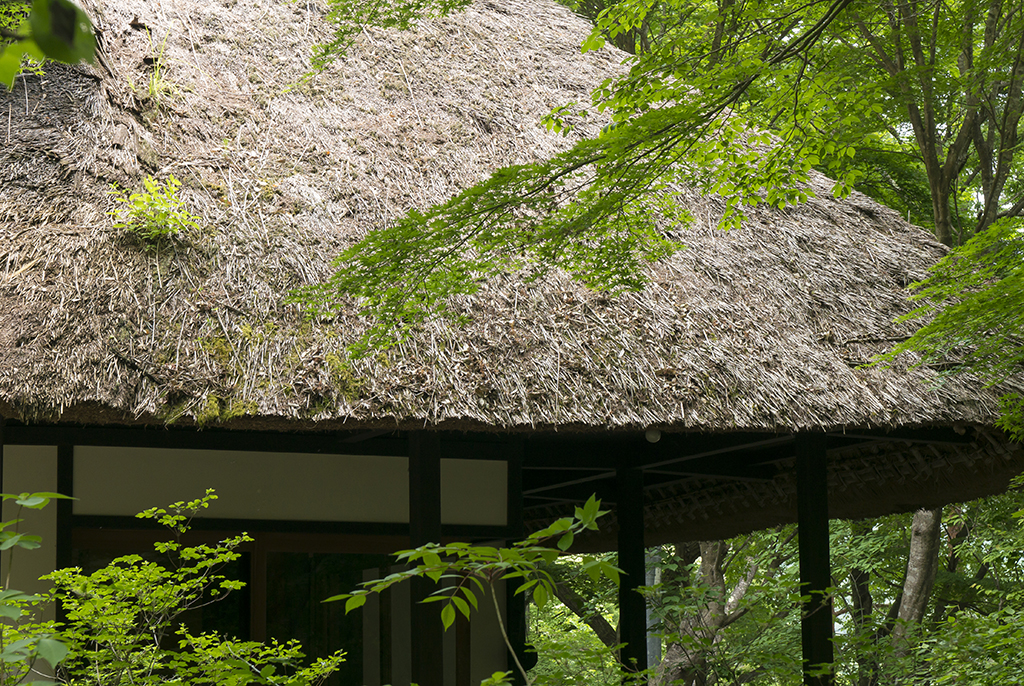 No.15124天山文庫 (川内村)（観光フォトライブラリ） 法人・教育・団体・メディアの皆様向け「ふくしまの旅」