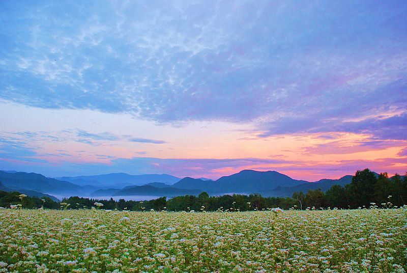 No 出遅れました 南会津町 みんなの投稿フォト 福島県観光情報サイト ふくしまの旅 公式