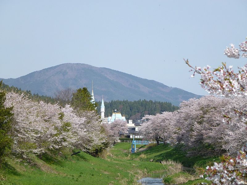 No 1251 こまち桜回廊 小野町 みんなの投稿フォト 福島県観光情報サイト ふくしまの旅 公式