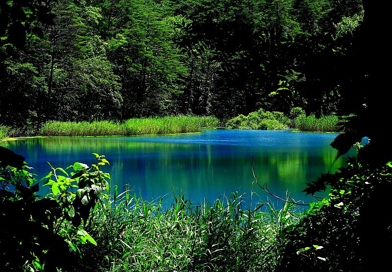 No 夏のるり沼 五色沼湖沼群 北塩原村 みんなの投稿フォト 福島県観光情報サイト ふくしまの旅 公式