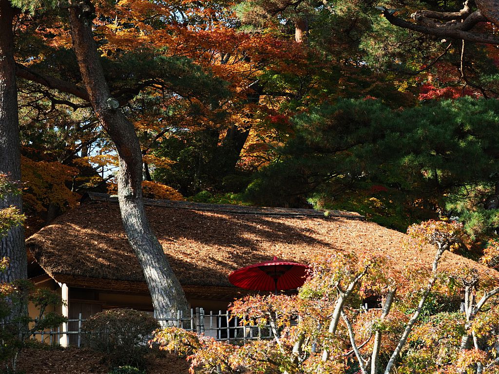 No 二本松城の紅葉 二本松市 みんなの投稿フォト 福島県観光情報サイト ふくしまの旅 公式