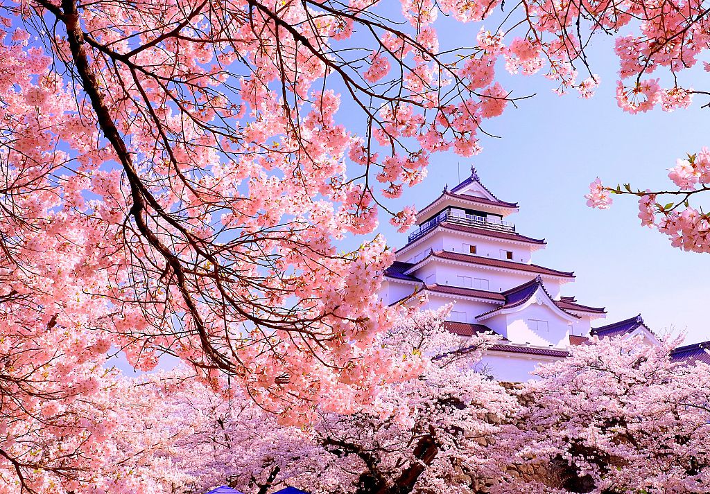 鶴ヶ城の桜2022