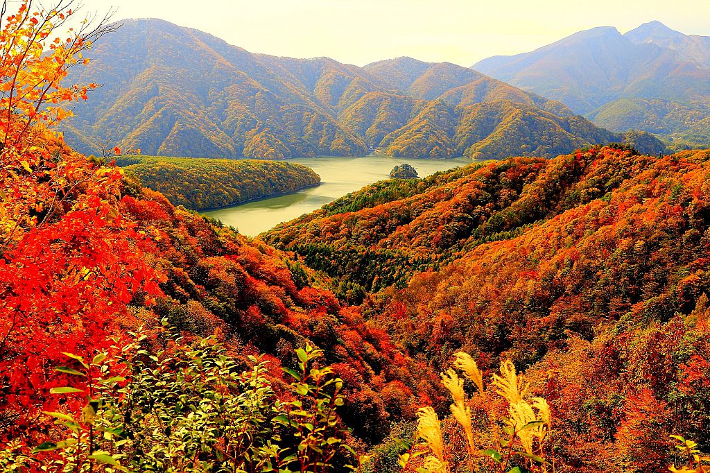 秋元湖の紅葉（レークライン）