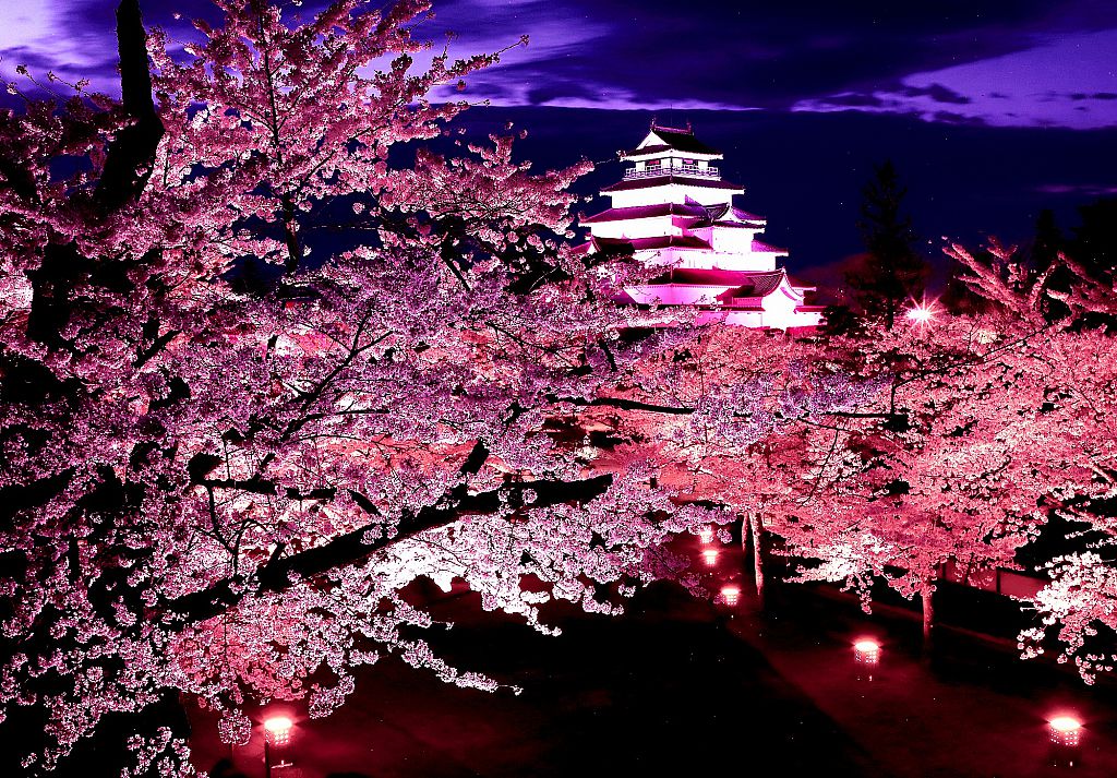 鶴ヶ城の桜ライトアップ2023