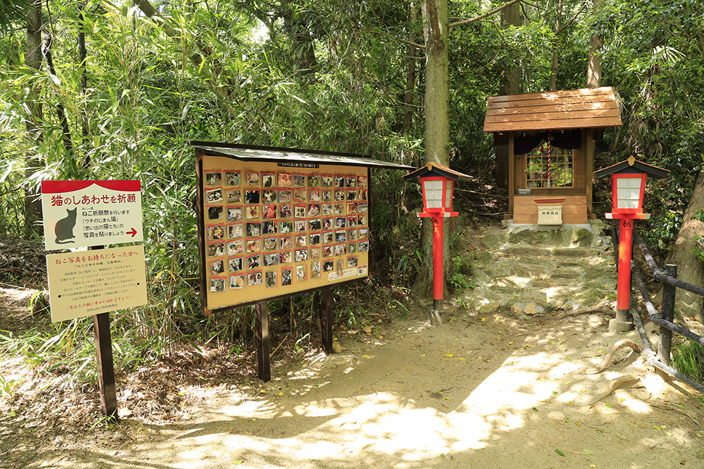 信夫山猫神社（西坂稲荷）