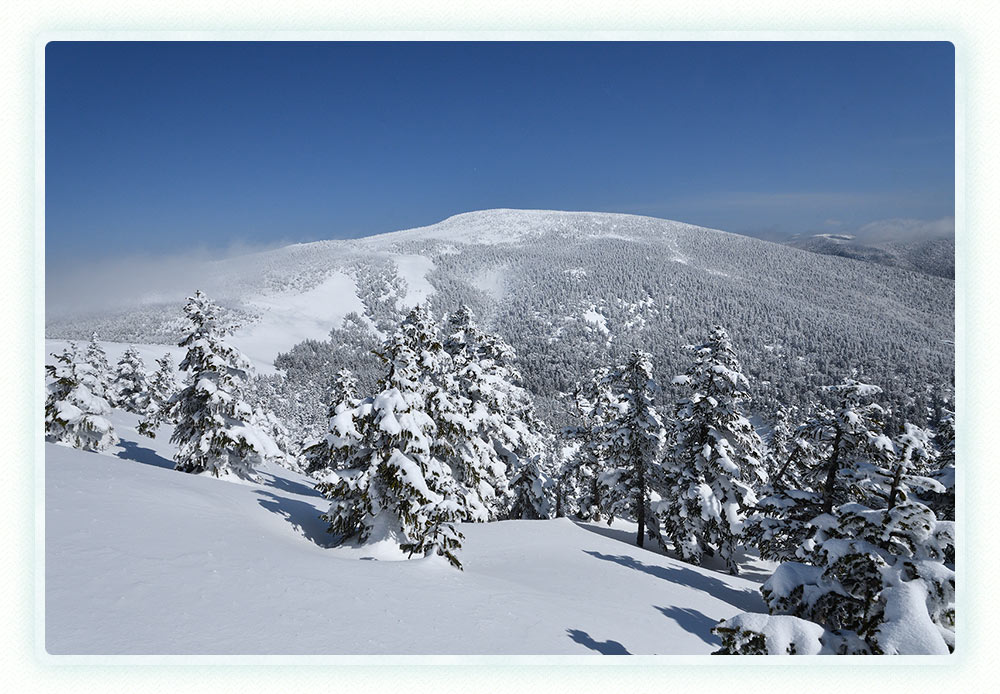 西吾妻山 リトルモンスターに逢いに 雪の百名山へ 登山と旅のコース案内 山からはじまる福島の旅 やまふく 西吾妻山 リトルモンスターに逢いに 雪の百名山へ 登山と旅のコース案内 山からはじまる福島の旅 やまふく