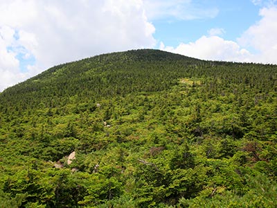 西吾妻山イメージ