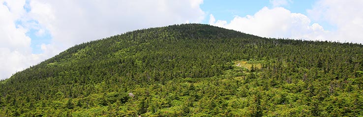 写真：西吾妻山